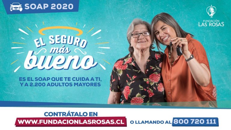Grafica_04