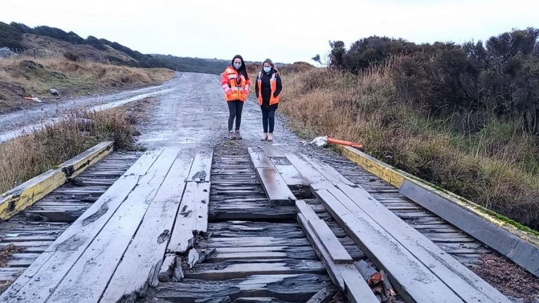 camino (1)