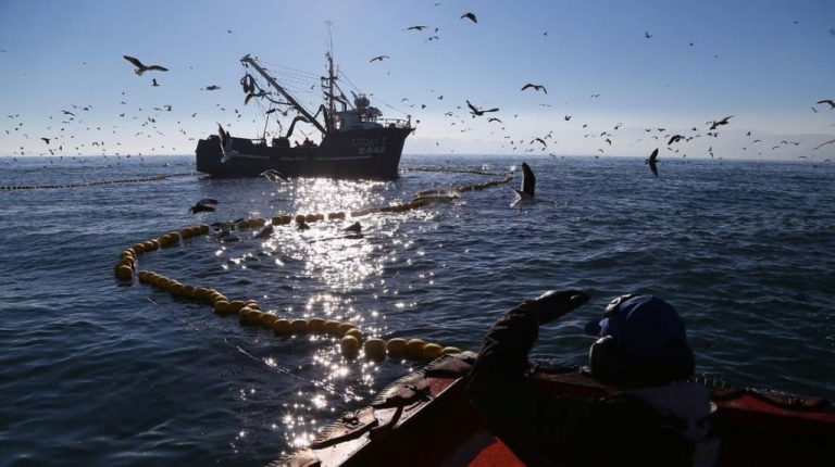 Barcos-pesqueros