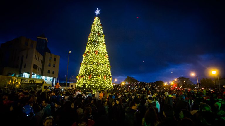 2017-12-01-arbol-de-navidad-3