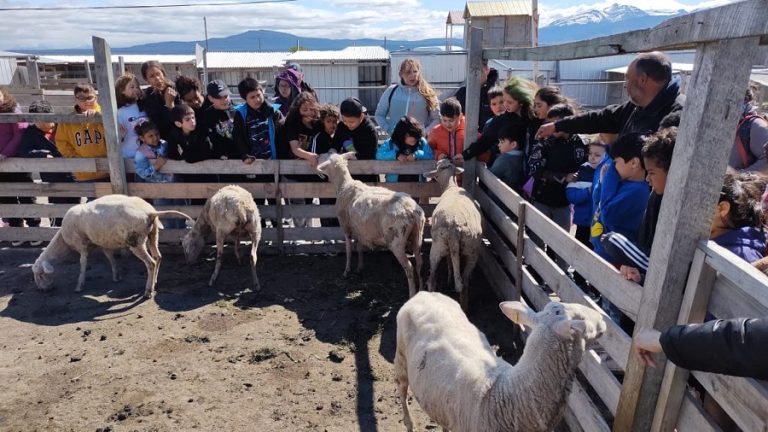 GRANJA EDUCATIVA 3