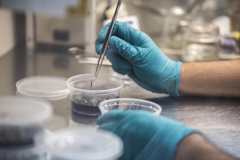 Investigación (1)