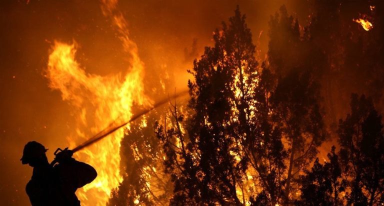 El-peor-desastre-forestal-de-Chile