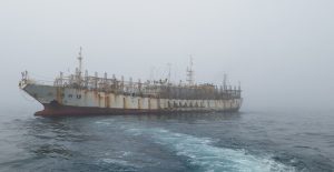 barco chino a lo lejos, horizontal (3)