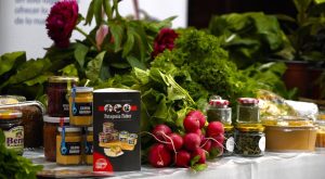 LANZAMIENTO DE FERIA GOURMET (2)