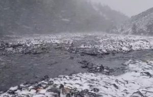 WhatsApp Image 2025-11-17 at 23.36.52