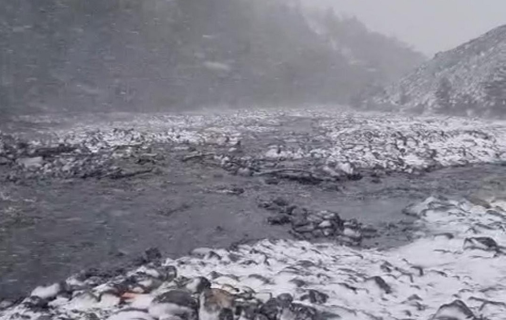 WhatsApp Image 2025-11-17 at 23.36.52