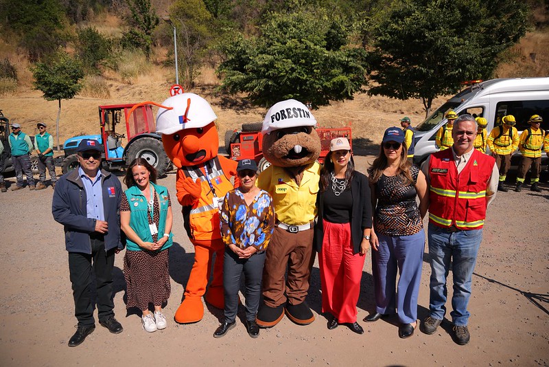 GOBIERNO PLAN DE CORTAFUEGOS 1