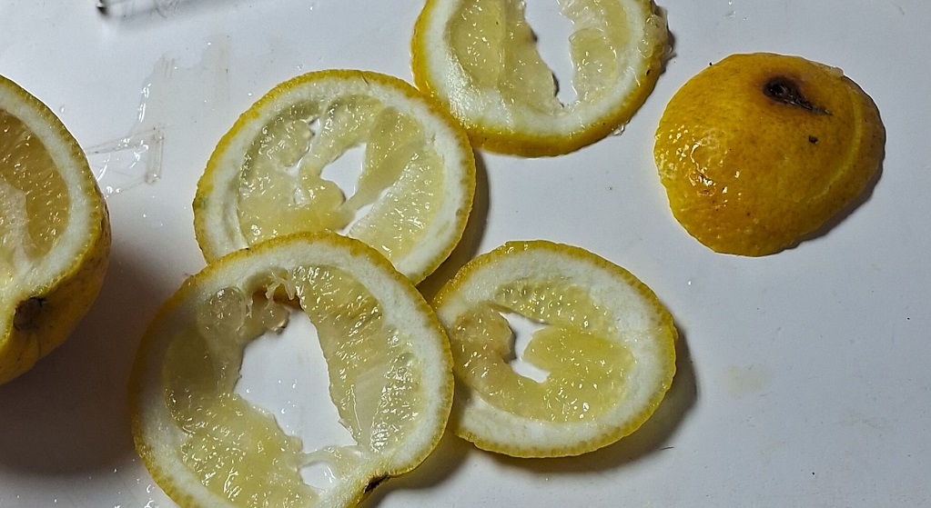 deteccion mosca de la fruta2