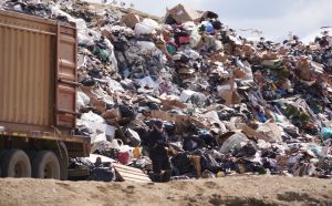 VERTEDERO MUNICIPAL (4)