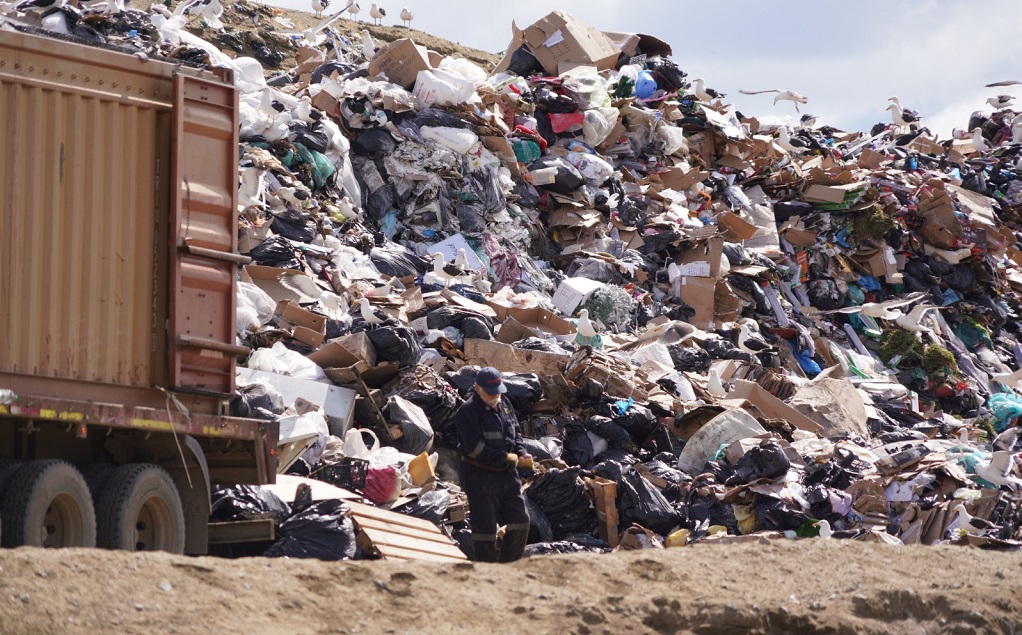 VERTEDERO MUNICIPAL (4)